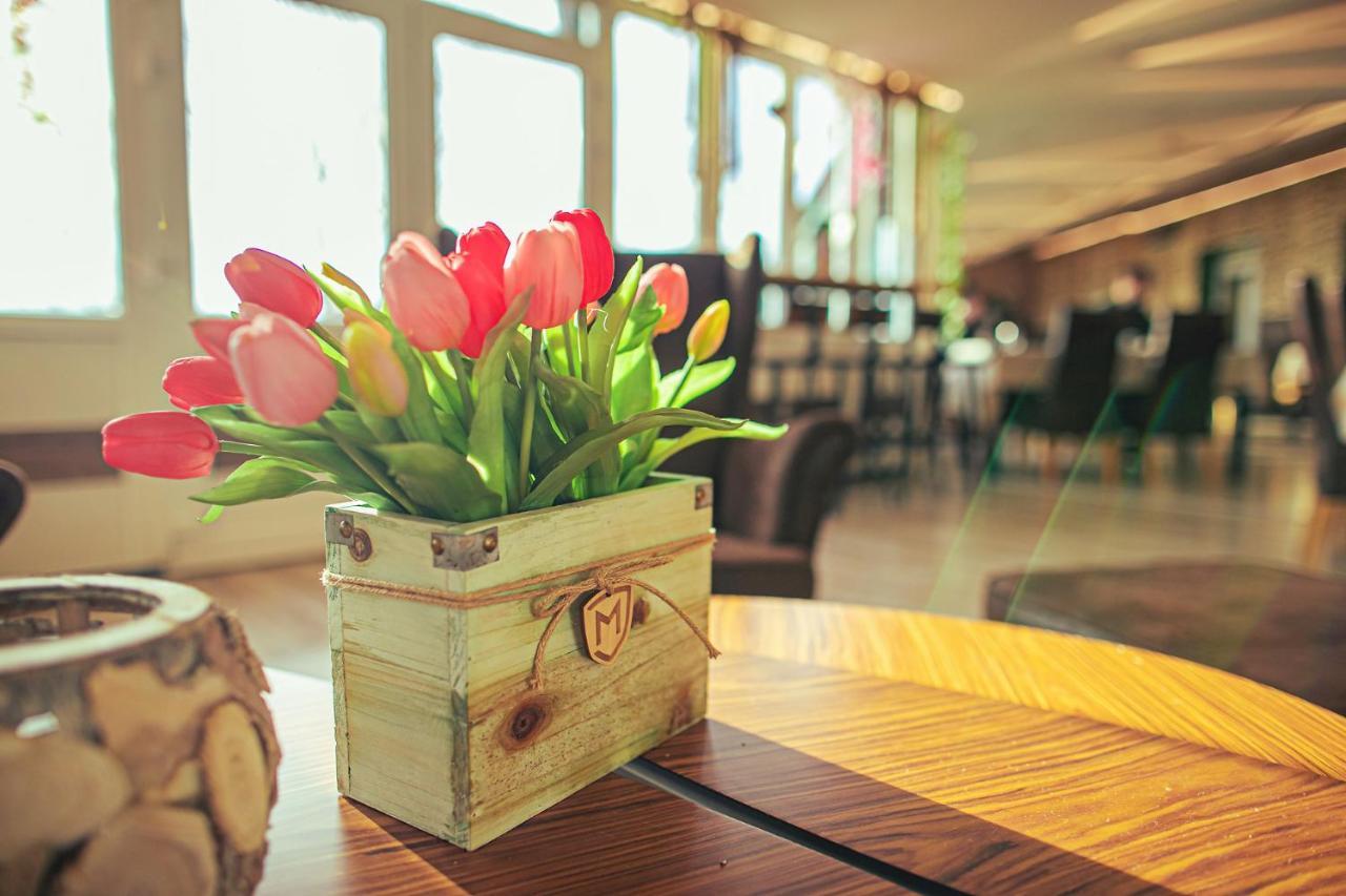 Szigetszentmárton Martoni Resort & Restaurant מראה חיצוני תמונה